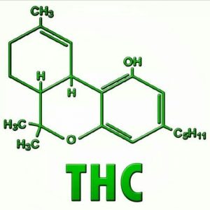 THC-test-DUI-los-angeles